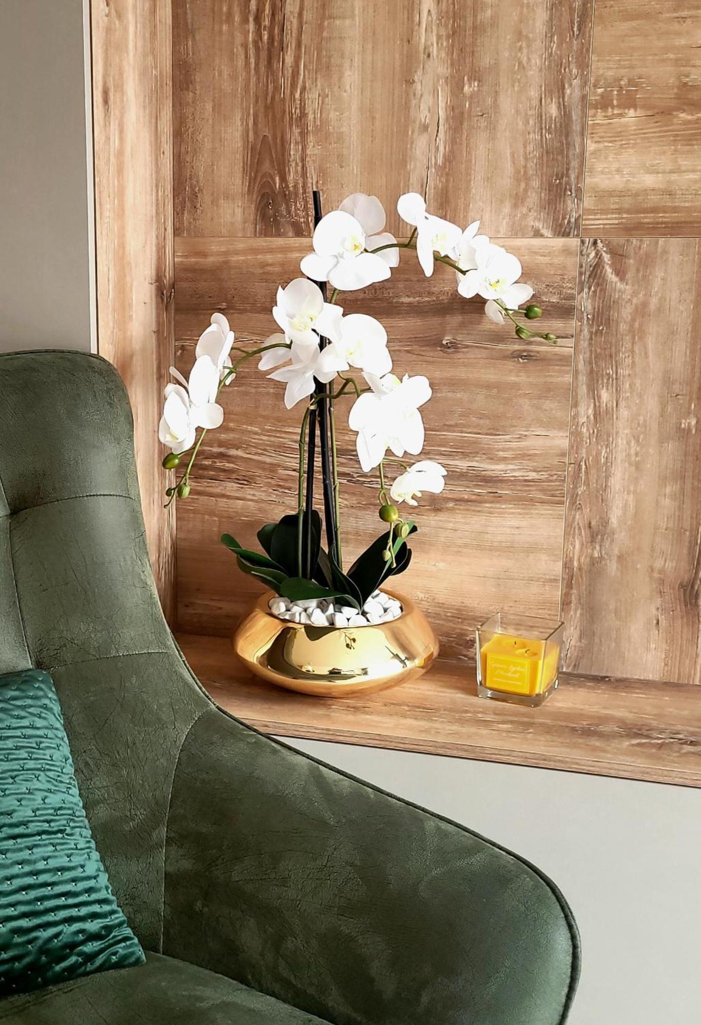 Divchy Dream Apartment Divcibare Ngoại thất bức ảnh